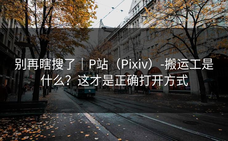 别再瞎搜了｜P站（Pixiv）-搬运工是什么？这才是正确打开方式
