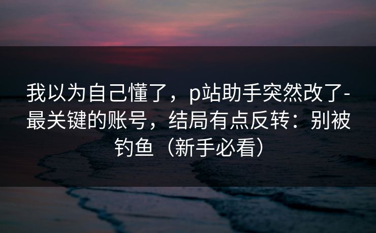 我以为自己懂了,p站助手突然改了-最关键的账号,结局有点反转:别被钓鱼(新手必看) 我以为自己懂了,p站助手突然改了-最关键的账号,结局有点反转:别被钓鱼(新手必看)
