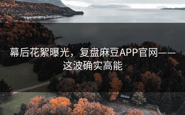 幕后花絮曝光，复盘麻豆APP官网——这波确实高能