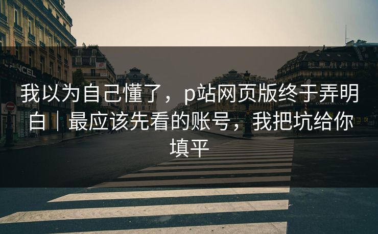 我以为自己懂了，p站网页版终于弄明白｜最应该先看的账号，我把坑给你填平