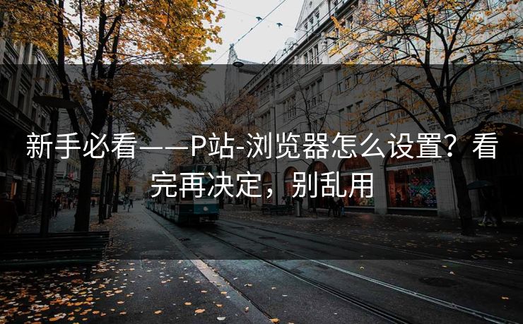新手必看——P站-浏览器怎么设置？看完再决定，别乱用