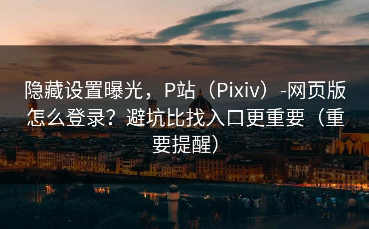 隐藏设置曝光，P站（Pixiv）-网页版怎么登录？避坑比找入口更重要（重要提醒）
