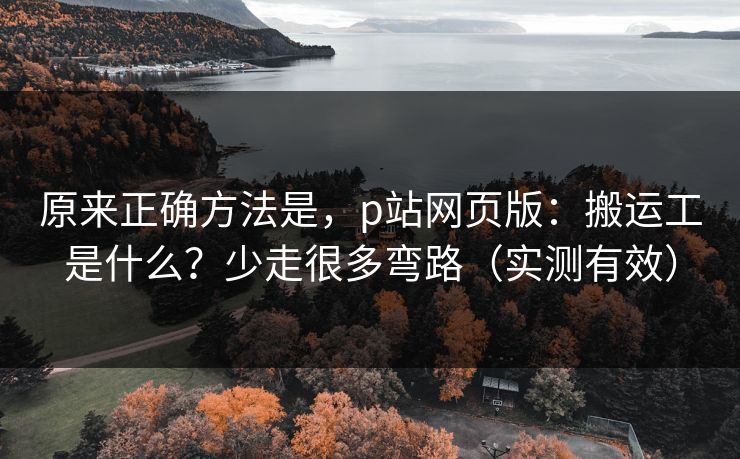 原来正确方法是，p站网页版：搬运工是什么？少走很多弯路（实测有效）