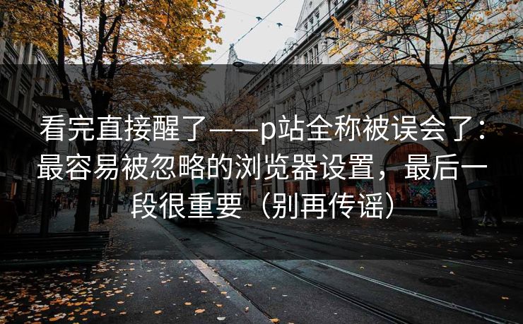 看完直接醒了——p站全称被误会了：最容易被忽略的浏览器设置，最后一段很重要（别再传谣）
