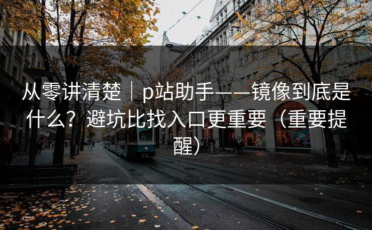 从零讲清楚｜p站助手——镜像到底是什么？避坑比找入口更重要（重要提醒）