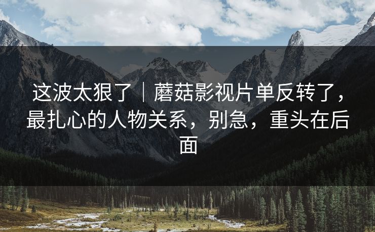 这波太狠了｜蘑菇影视片单反转了，最扎心的人物关系，别急，重头在后面