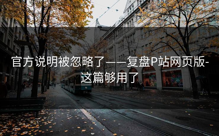 官方说明被忽略了——复盘P站网页版-这篇够用了