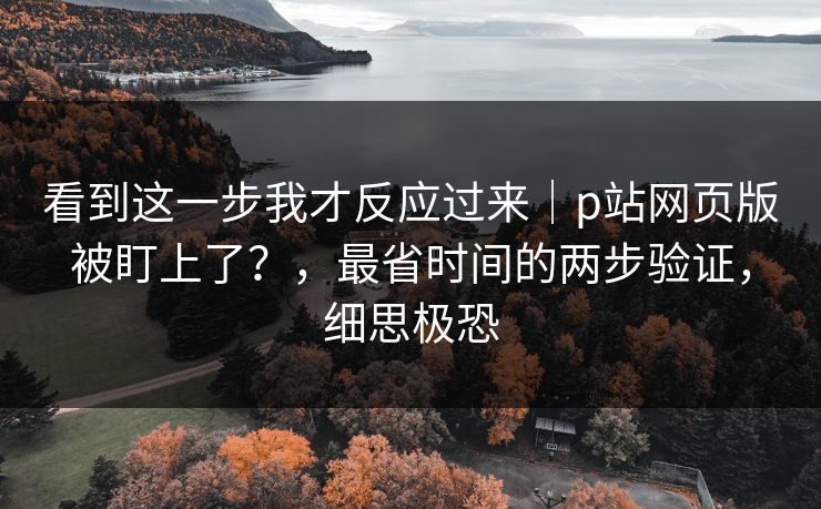 看到这一步我才反应过来｜p站网页版被盯上了？，最省时间的两步验证，细思极恐