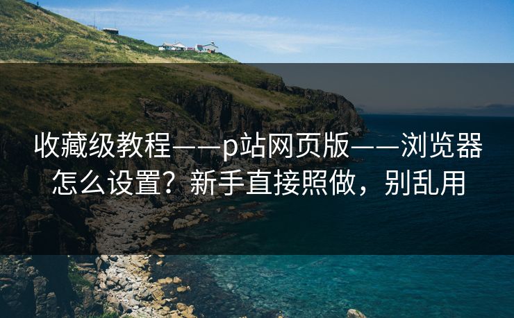 收藏级教程——p站网页版——浏览器怎么设置？新手直接照做，别乱用