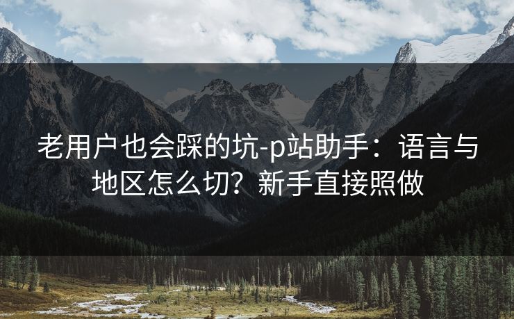 老用户也会踩的坑-p站助手：语言与地区怎么切？新手直接照做
